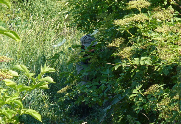 P1010402řez.jpg